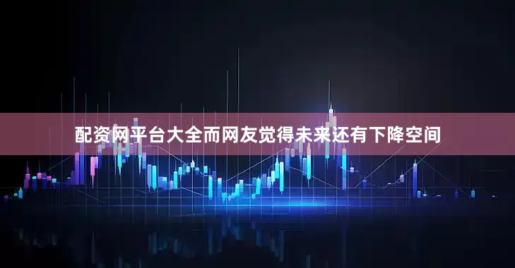 配资网平台大全而网友觉得未来还有下降空间