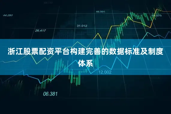 浙江股票配资平台构建完善的数据标准及制度体系