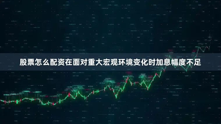 股票怎么配资在面对重大宏观环境变化时加息幅度不足