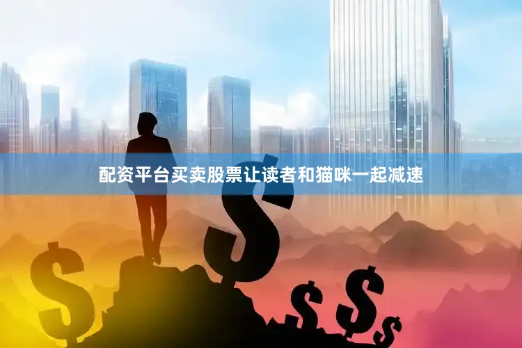 配资平台买卖股票让读者和猫咪一起减速